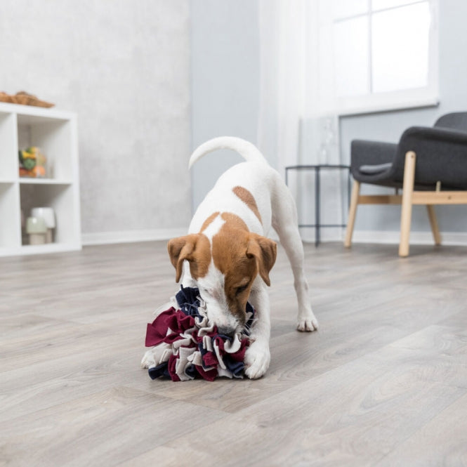 Trixie Schnüffelball für Hunde