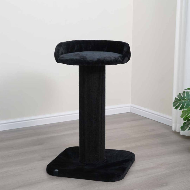 EBI Kratzbaum Sydney