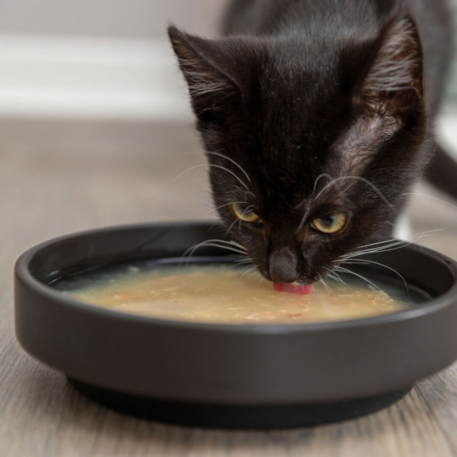 Trixie Kittis Shrimp Soup - 4 × 80 g