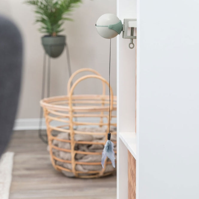 Trixie Catch It Katzenspielzeug