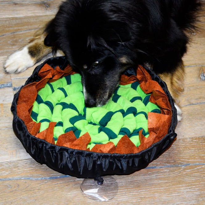 PROCYON Donut Schnüffelmatte