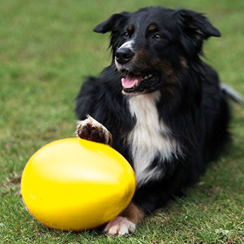 PROCYON Spielei / Treibei