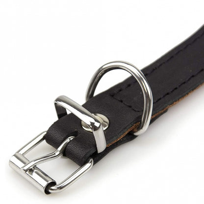 Karlie Rondo Windhund-Halsband - Schwarz