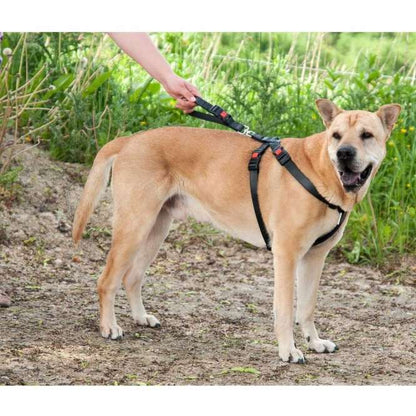 Karlie Flamingo Auto-Sicherheitsgeschirr Kunstleder - XS