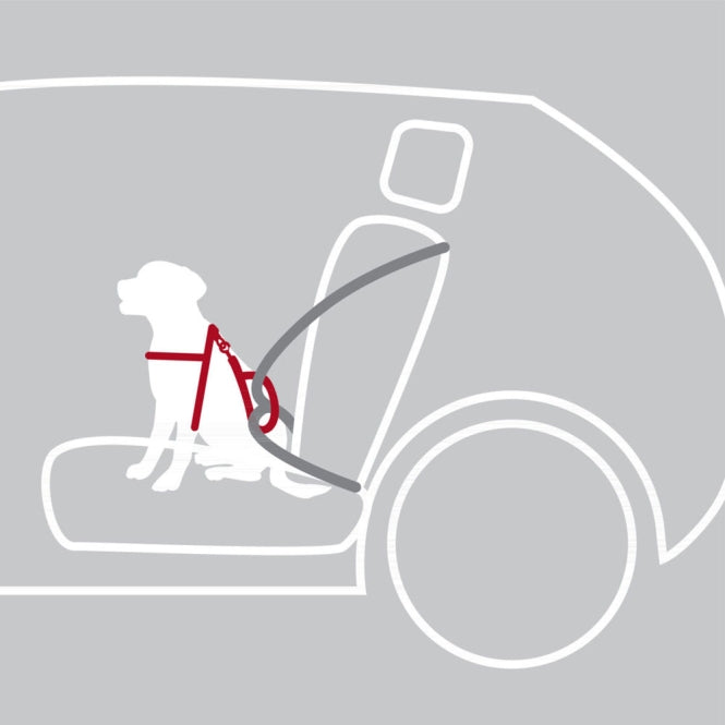 Trixie Auto-Sicherheitsgeschirr Dog Protect