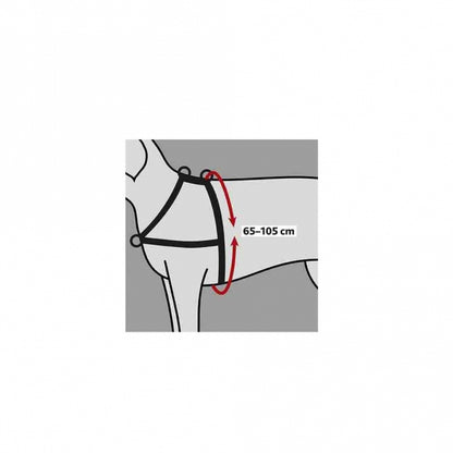 Trixie Trainingsgeschirr Lead'n'Walk Soft