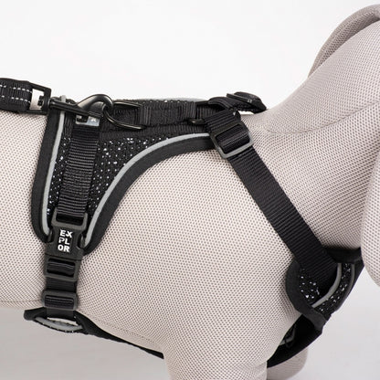 Duvoplus EXPLOR Ultimate Fit No-Pull-Geschirr - granite black - XS - 28-37cm