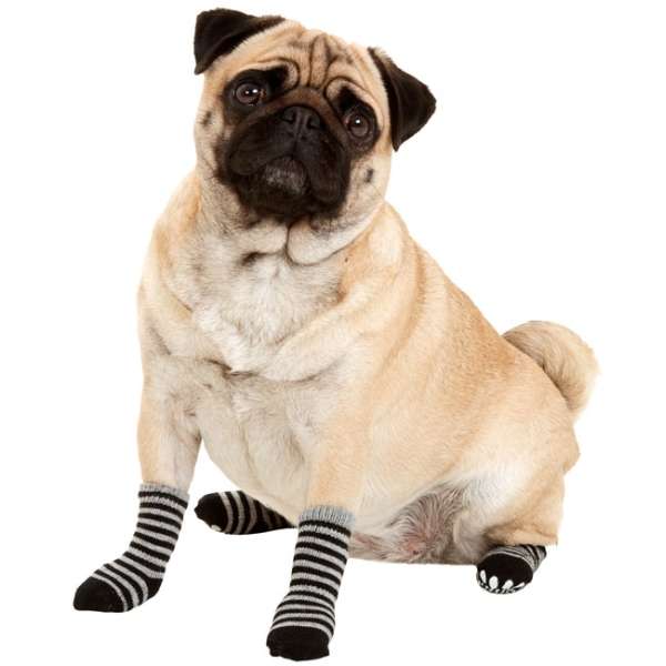 Karlie Doggy Socks Hundesocken 4er Set