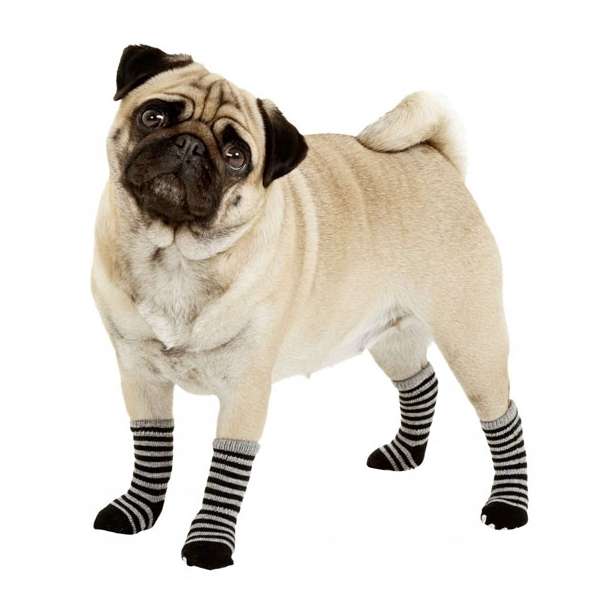 Karlie Doggy Socks Hundesocken 4er Set