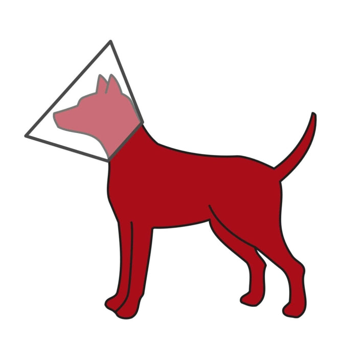 Trixie Schutzkragen aus Kunststoff