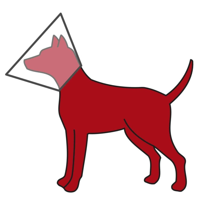 Trixie Schutzkragen mit Klettverschluss