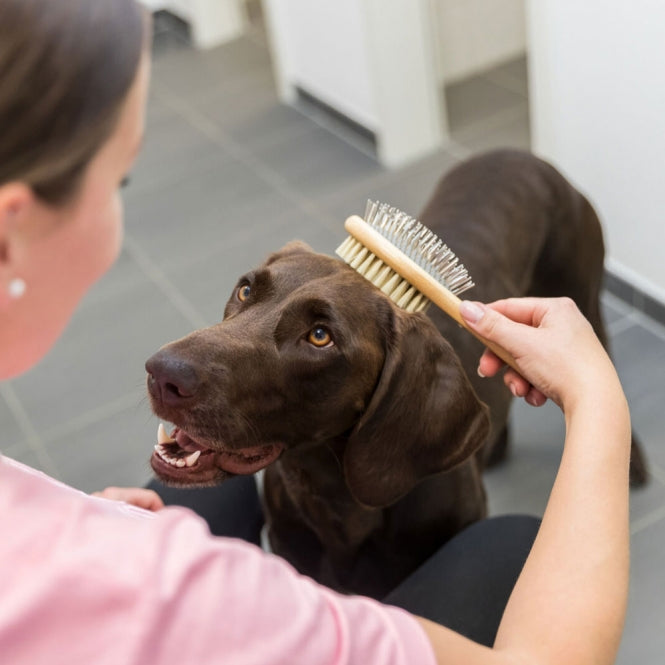 Trixie beidseitige Bürste aus Bambus