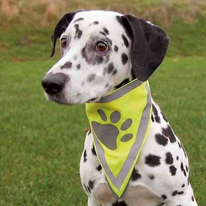 Trixie Sicherheitshalstuch