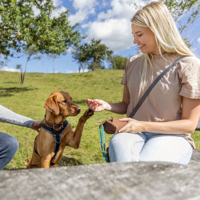 Trixie Preydummy - Canvas, Braun