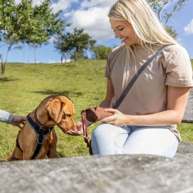 Trixie Preydummy - Canvas, Braun