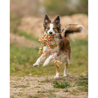 Trixie Tau-Spielzeug