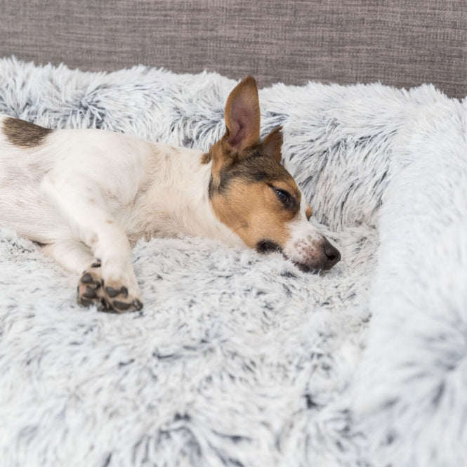 Trixie Polster-Schondecke Harvey