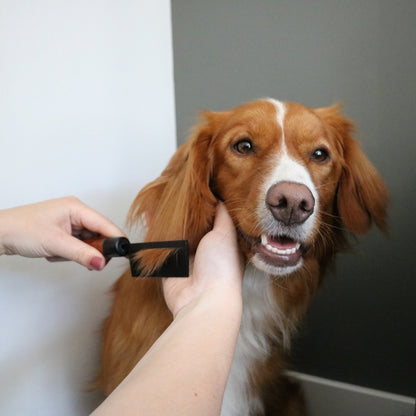 EBI Noir Japandi Entwirrungskamm