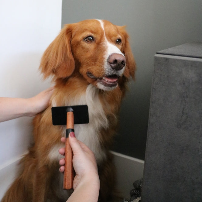 EBI Noir Japandi Slicker-Bürste - S