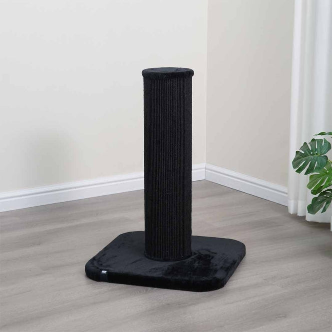 EBI Kratzstamm London