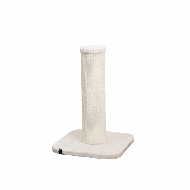 EBI Kratzstamm London