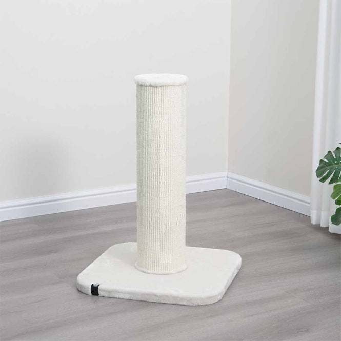 EBI Kratzstamm London