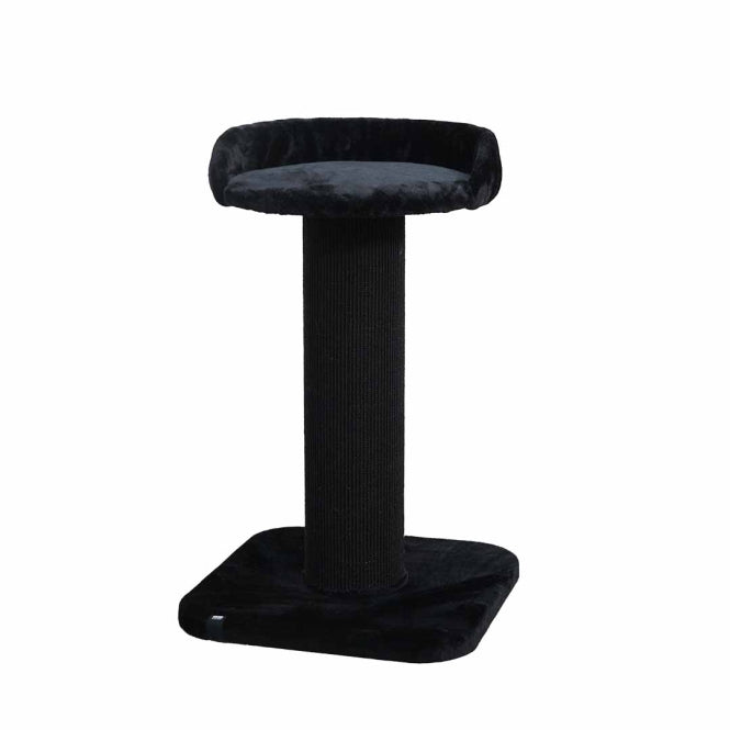 EBI Kratzbaum Sydney