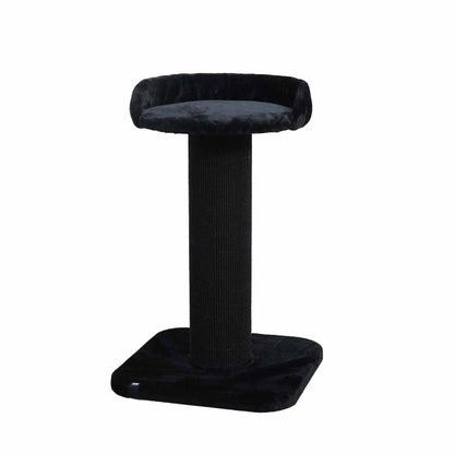 EBI Kratzbaum Sydney