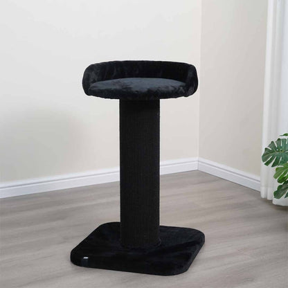 EBI Kratzbaum Sydney