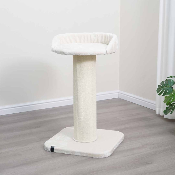 EBI Kratzbaum Sydney