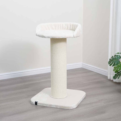 EBI Kratzbaum Sydney