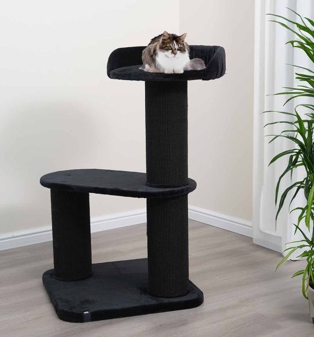 EBI Kratzbaum Berlin