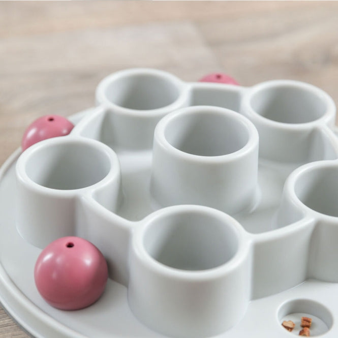 Trixie Cat Activity Pentagon