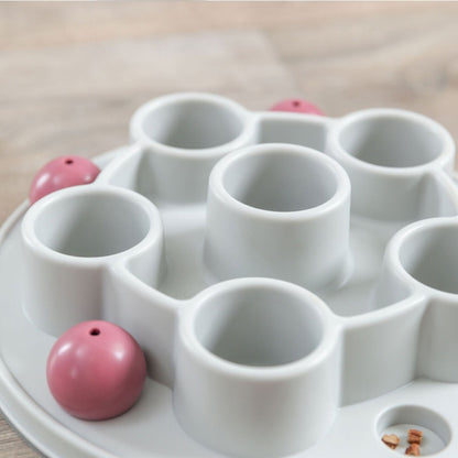 Trixie Cat Activity Pentagon