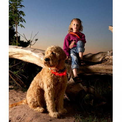 Karlie Visio Light LED-Leuchtschlauch mit USB