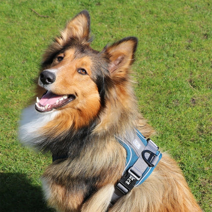 Duvoplus EXPLOR Ultimate Fit No-Pull-Geschirr - petrol blue - XS - 28-37cm