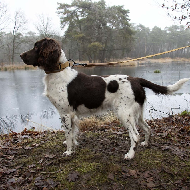 Duvoplus EXPLOR Ultimate Fit Control Halsband Classic - honey gold - XS