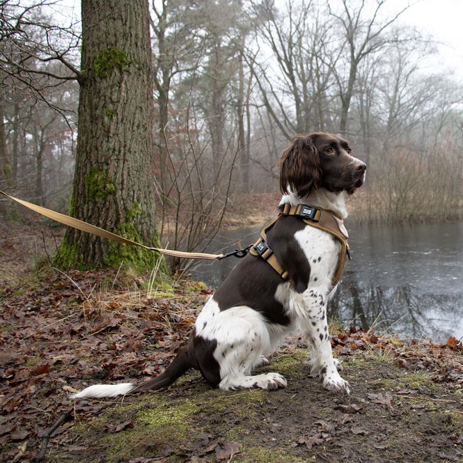 Duvoplus EXPLOR Ultimate Fit No-Pull-Geschirr - honey gold - XS - 28-37cm