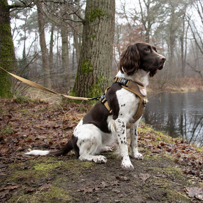 Duvoplus EXPLOR Ultimate Fit No-Pull-Geschirr - honey gold - XS - 28-37cm