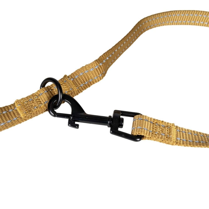 Duvoplus Trainingsleine EXPLOR Ultimate Fit Classic - honey gold