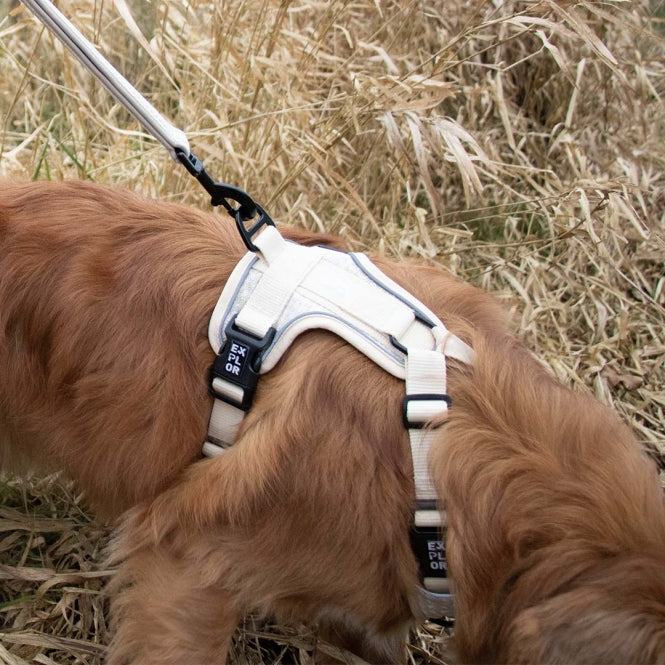 Duvoplus EXPLOR Ultimate Fit No-Pull-Geschirr - antique white - XS - 28-37cm