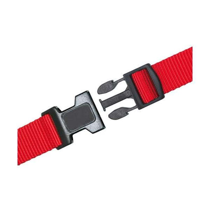 Karlie ASP Katzenhalsband