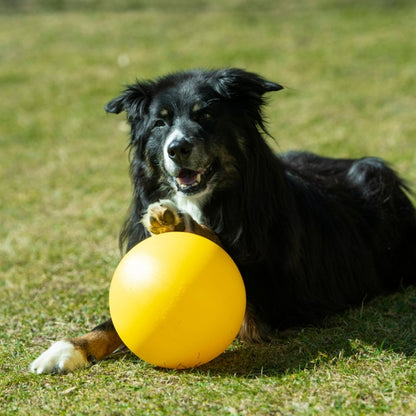 PROCYON Treibball Größe S