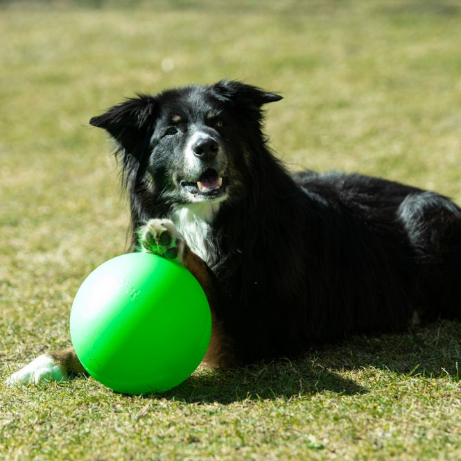PROCYON Treibball Größe S