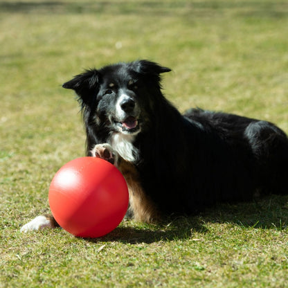 PROCYON Treibball Größe S