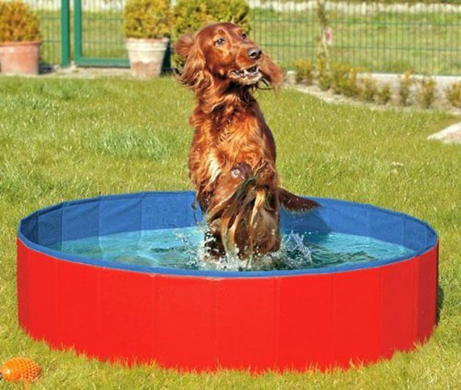 Karlie DOGGY POOL der Swimmingpool für Hunde - Rot-Blau