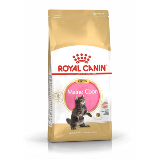 Royal Canin Feline Maine Coon Kitten