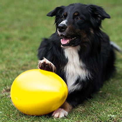 PROCYON Spielei / Treibei