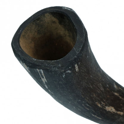 Viking Whole Horn - S